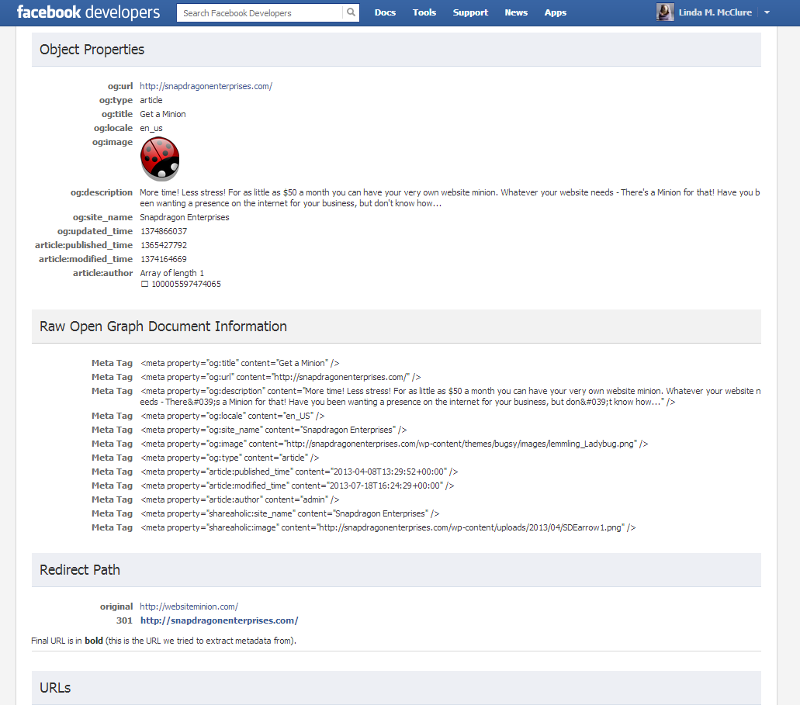 fb link debugger
